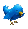 Follow us on Twitter!